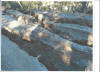 Road Washout II 1997